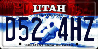 UT license plate D524HZ