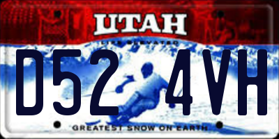 UT license plate D524VH