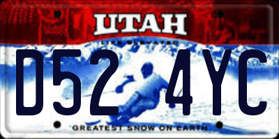 UT license plate D524YC