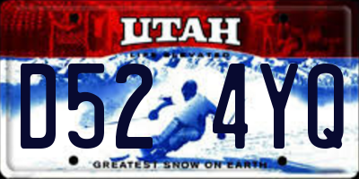 UT license plate D524YQ