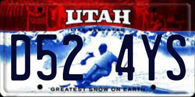 UT license plate D524YS
