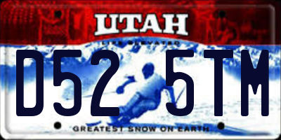 UT license plate D525TM