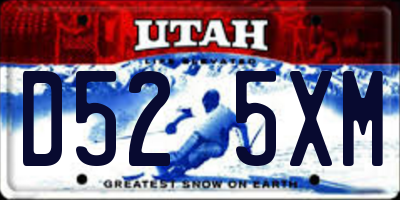 UT license plate D525XM
