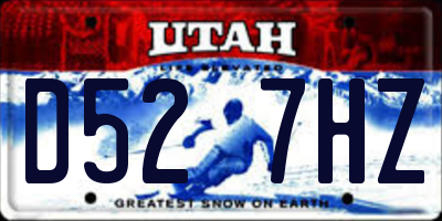 UT license plate D527HZ
