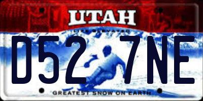 UT license plate D527NE