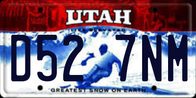 UT license plate D527NM
