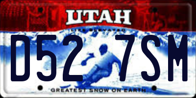 UT license plate D527SM