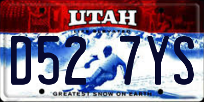 UT license plate D527YS