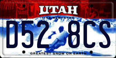 UT license plate D528CS
