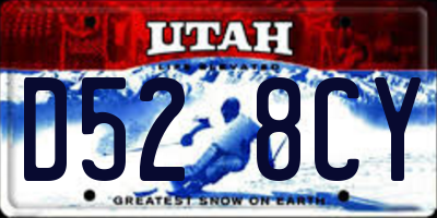 UT license plate D528CY