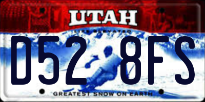 UT license plate D528FS