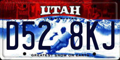 UT license plate D528KJ