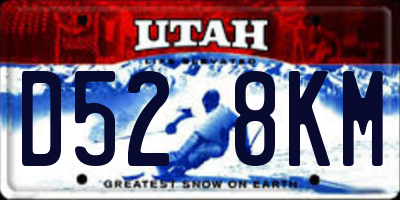 UT license plate D528KM