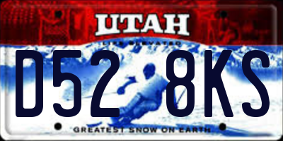UT license plate D528KS