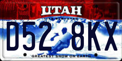 UT license plate D528KX