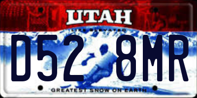 UT license plate D528MR