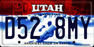 UT license plate D528MY