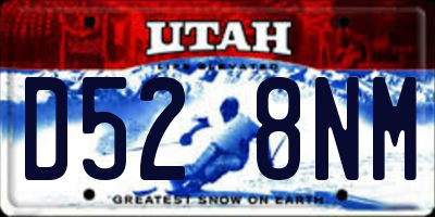 UT license plate D528NM