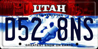 UT license plate D528NS