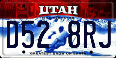 UT license plate D528RJ