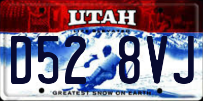 UT license plate D528VJ