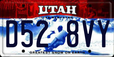 UT license plate D528VY