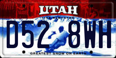 UT license plate D528WH