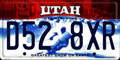 UT license plate D528XR