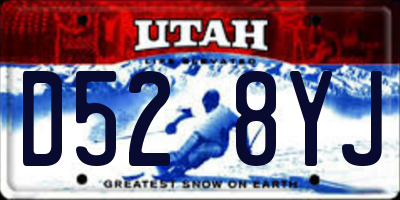 UT license plate D528YJ