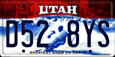 UT license plate D528YS