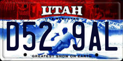 UT license plate D529AL