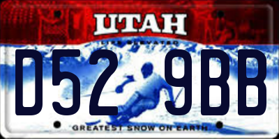 UT license plate D529BB