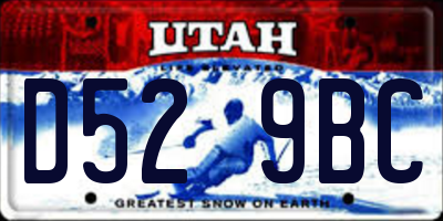 UT license plate D529BC