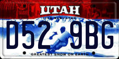 UT license plate D529BG