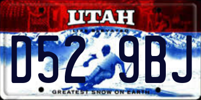 UT license plate D529BJ