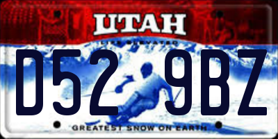UT license plate D529BZ