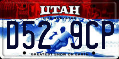 UT license plate D529CP