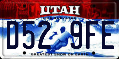 UT license plate D529FE