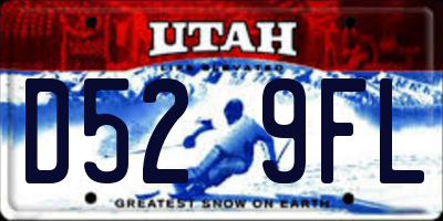 UT license plate D529FL