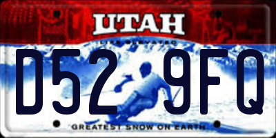 UT license plate D529FQ