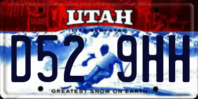 UT license plate D529HH