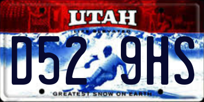 UT license plate D529HS