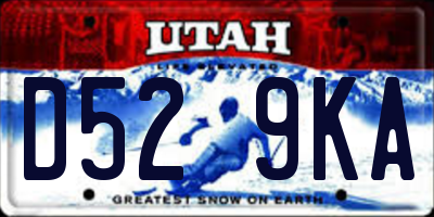 UT license plate D529KA