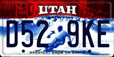 UT license plate D529KE
