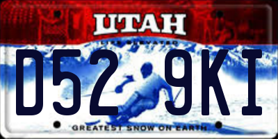 UT license plate D529KI