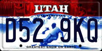UT license plate D529KQ