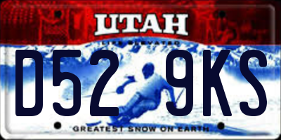 UT license plate D529KS