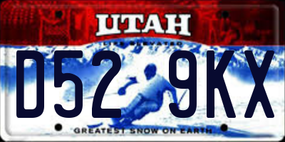 UT license plate D529KX