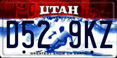 UT license plate D529KZ
