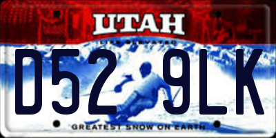 UT license plate D529LK